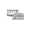 sap partner